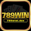 789wintdev