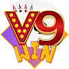 v9winspace1
