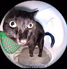 TransFatFurry04