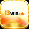 13winskin