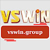 vswingroup