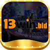 13winbid