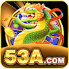 53a53aorg