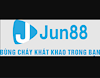 jun88plcomceo