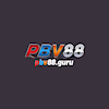 pbv88ka