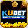 kubetimmobilien