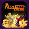 alo789wang
