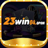 23win04qpon