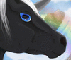 fleetwindflyy