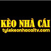 tylekeonhacaitvcom
