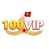 100vipdesign