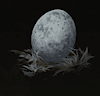 egg1863