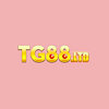 tg88ltd