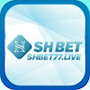 shbet77live