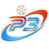 p3vin