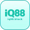 iq88black
