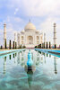 driverindia