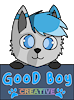 goodboynova00