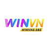 winvnssbs