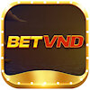 betvndapp