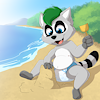 CosuRaccoon
