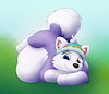 Everestchubbyhuskypup