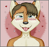 Redfox12