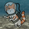 camocat
