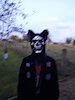 mutilation