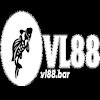 vl88homes1