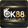 ok8833com1