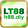lt88diy