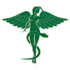 drtranplasticmd