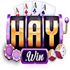 1haywintech