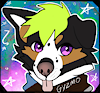 Gyzm0w0