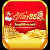 hay88vnnet
