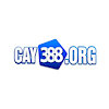 cay388org
