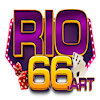 rio66art