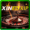 xin88rip