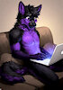 KodiShadowpaw
