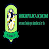 Soikeonhacaicocom