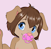 Donacutie