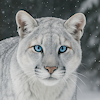 thesnowycougar