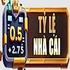 tylenhacai1vn