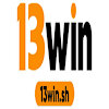 13Winsh