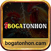 Bogatonhon
