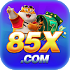 85xnetbr