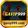 gavip999cam