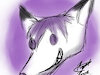 snofox