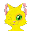 Yordraw